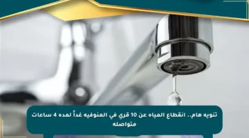 تنويه هام.. انقطاع المياه عن 10 قرى في المنوفية غداً لمدة 4 ساعات متواصلة